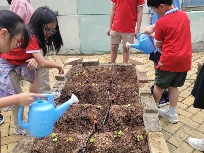 DS3 The first round of organic farming activities