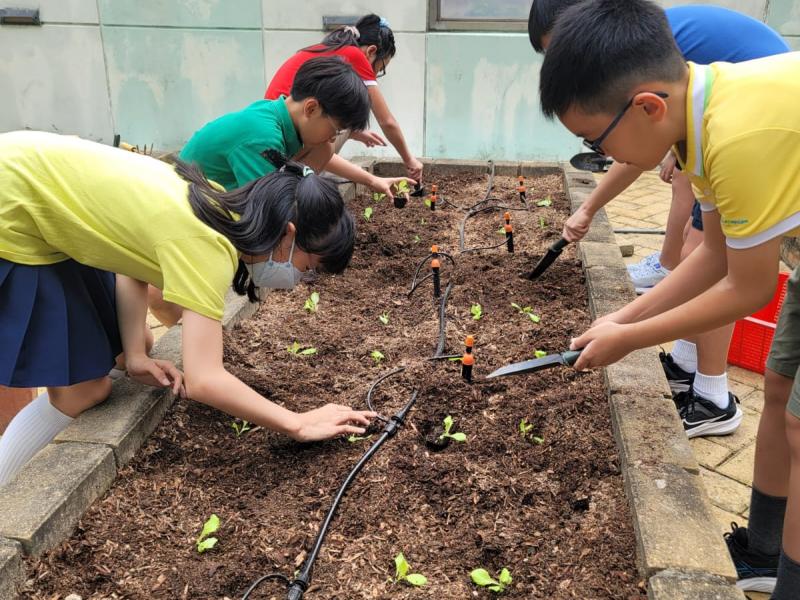 DS3 The first round of organic farming activities