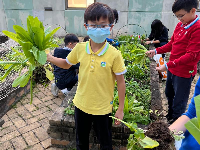 DS3 The first round of organic farming activities