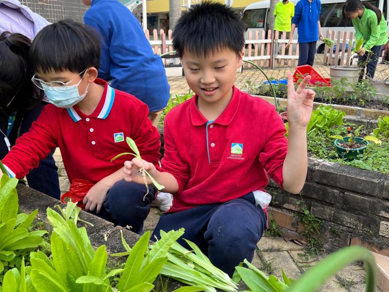 DS3 The first round of organic farming activities