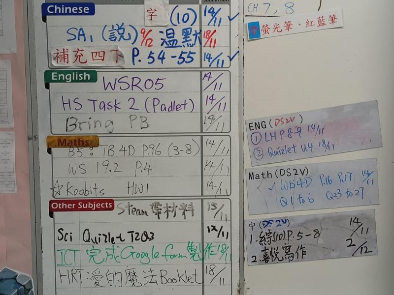 DS2V-2024-11-11