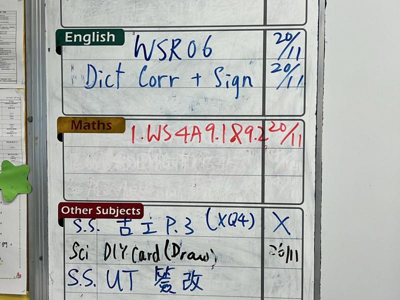 DS2Y-2024-11-19