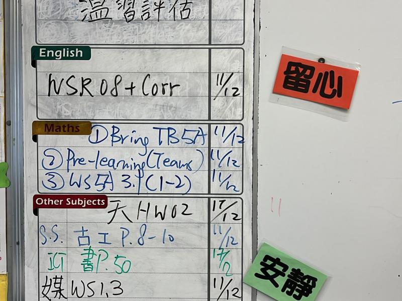 DS2Y-2024-12-10