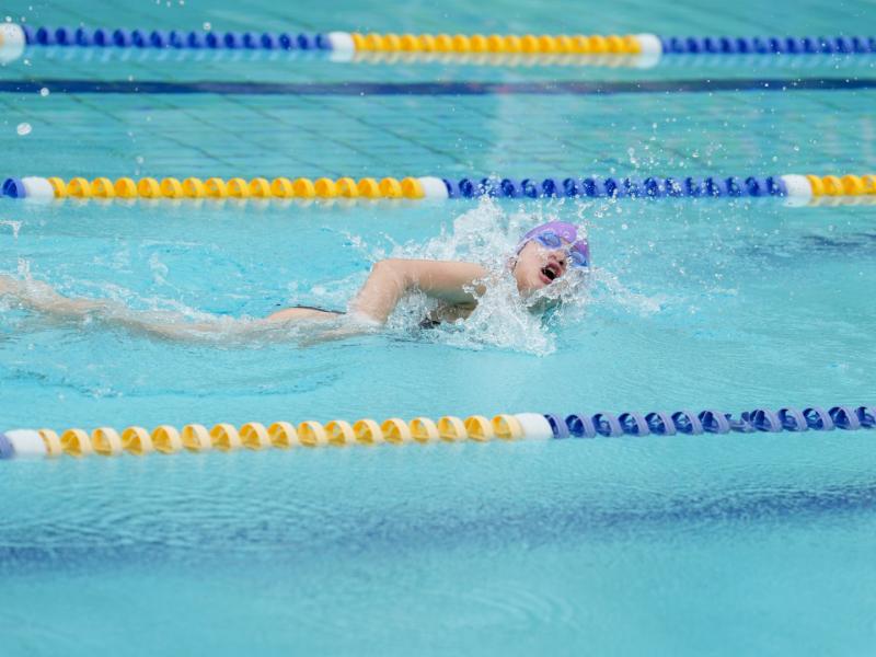 2025 The 8th Swimming Gala